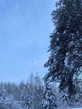 ��������� ���������� ������-��������� ��-196 ������ ��������� ��� �������-�������������������� � ������ ���� ���������� ����, ������������� � 1700 �� �� ������� � ��������