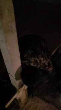 ����� ��������� �������, ����� � ���� � ���������