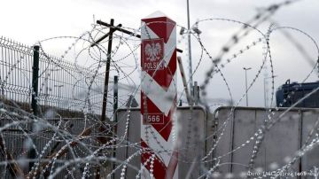 ��������� ������� �������� ������� ��������������� ������� � �������� �������, �������� �����-������ ���������-���������� ������������ ������ ������