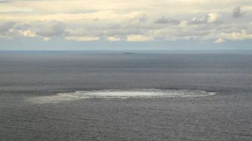 � �������� ��� ����������� � ������������ ������������� �� ��������� �������