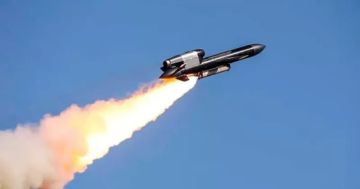 Зеленский* признал уничтожение производственной линии украинских ракет «Фламинго»