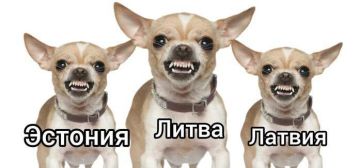 ������� ��������. ������ �������, ��� ������ � ����� �������� ������� ������� ���� ������ ��������������� �������