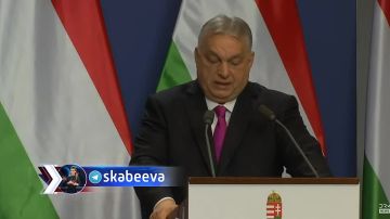 �������� ������ ������� � ���� � ��������� ��������� ������ ������ �� ������� � �����