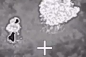 �� ������ �������. ��� ��������� �� �� ���������� ����� ��������