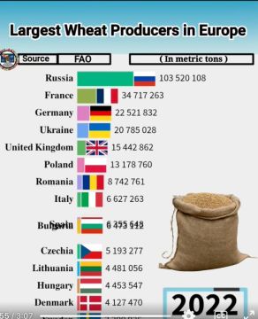 ������ ����������: ����, ��� ������������ ����� �������� ��������: