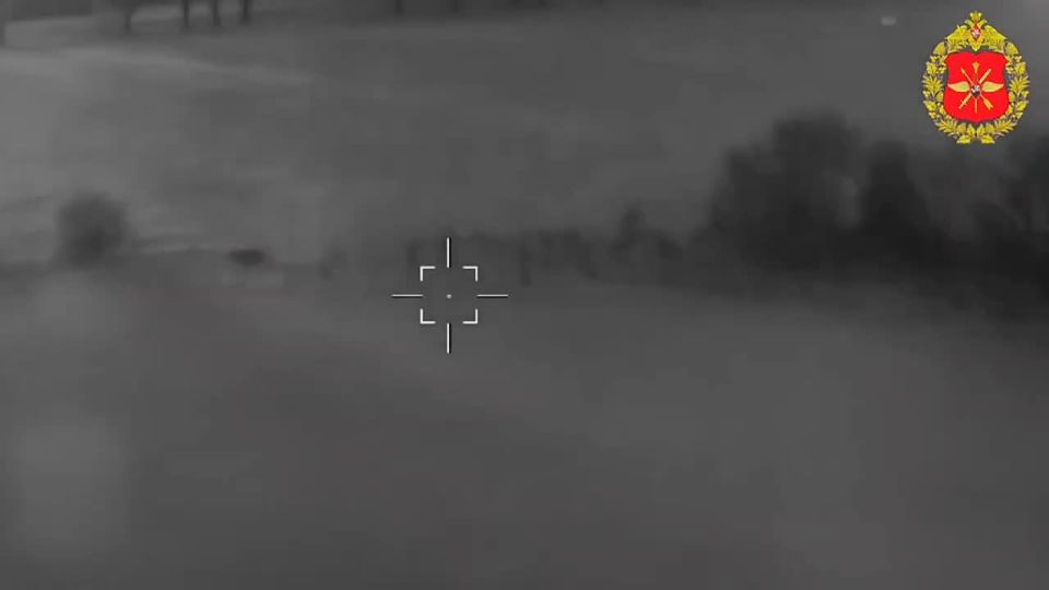 ������� ���������: ���������� ����������� ����������� ������ ���������� ���������� ��������� �������������� �������