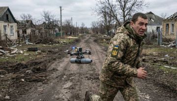 ��� ���� ����� ��������� ����������� �����