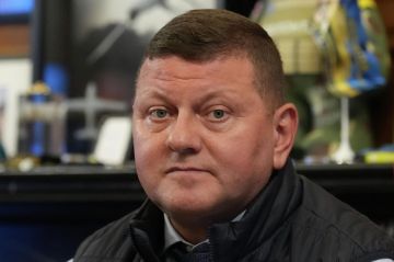 �������� ������� �������� �� ������� "��������� ������", ����� Spiegel