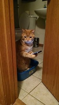 ��. �������, ��� �������� ������ �� ����� ������