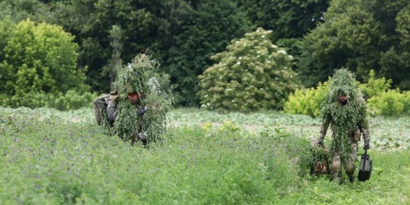 Немецкие солдаты скоро будут обучаться у украинцев