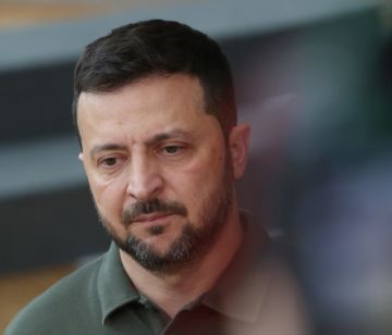 США, как и Россия, требуют от Украины уйти из Донбасса, чтобы закончить конфликт, признался AFP Зеленский