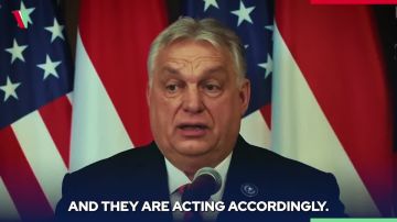 ������ ������� �������� ����� � ������������� ���������� �� ���������� ���� ������