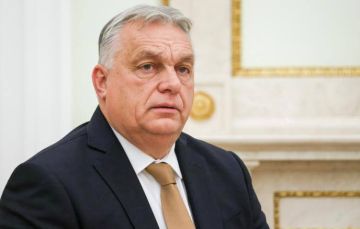 �����: ������� ����� ����������� ������ ����� ����� ��-�� "������"