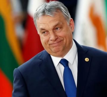 ����� ������������� ����������� �������, ������� ������������ �� ������ ������� ��� �������