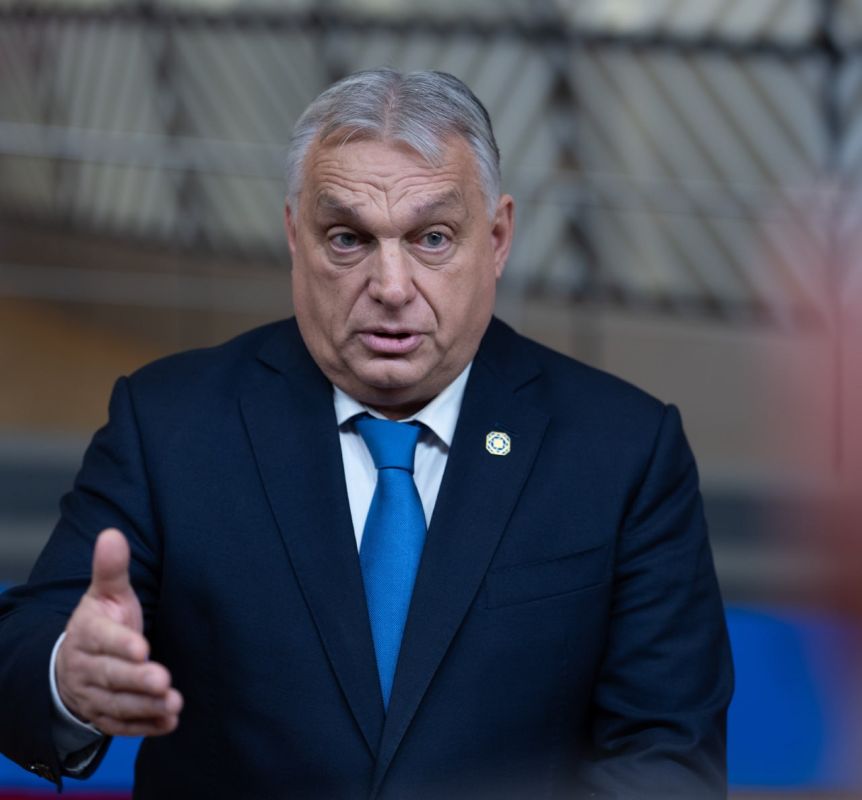 � ����� ��� ����� ������������� ������ ������������ "������" �� �������� � ��������������, ������ �����