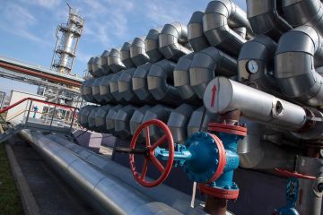 ���� ��������� �� ������������ ����������� ������ - ����� ������ ��������