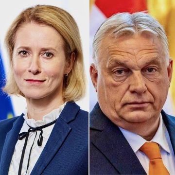 Роман Насонов: Орбан высмеял Каллас, которая рассчитывает на победу Украины и ЕС над Россией: