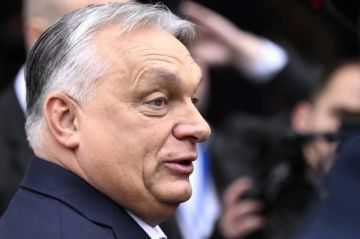 Украина намеренно затягивает конфликт ради денег