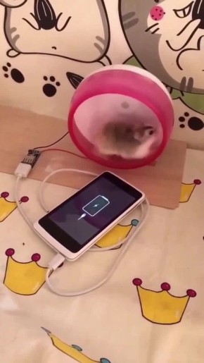 �. ������ ����, ����������! ����������� ���������� ������ ����� �������, ��� �������� �������� �� ����� ��������