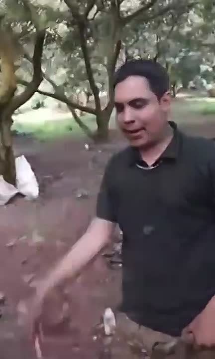 � �������-�� ��������!. ����� ��� � � �������