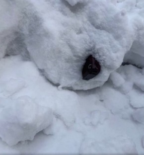 Заказчики покушения на генерала Алексеева – спецслужбы Украины, но виден и Британский след, — глава ФСБ России