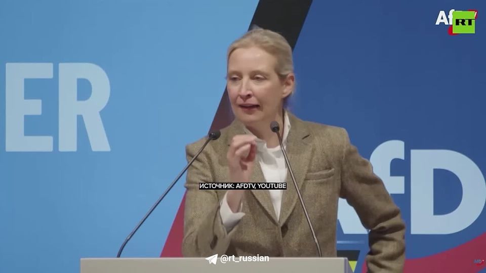 Членам ЕС кажется, что Украина им мстит, но Брюссель продолжает сдувать с неё пылинки, отмечает корр RT Дональд Кортер