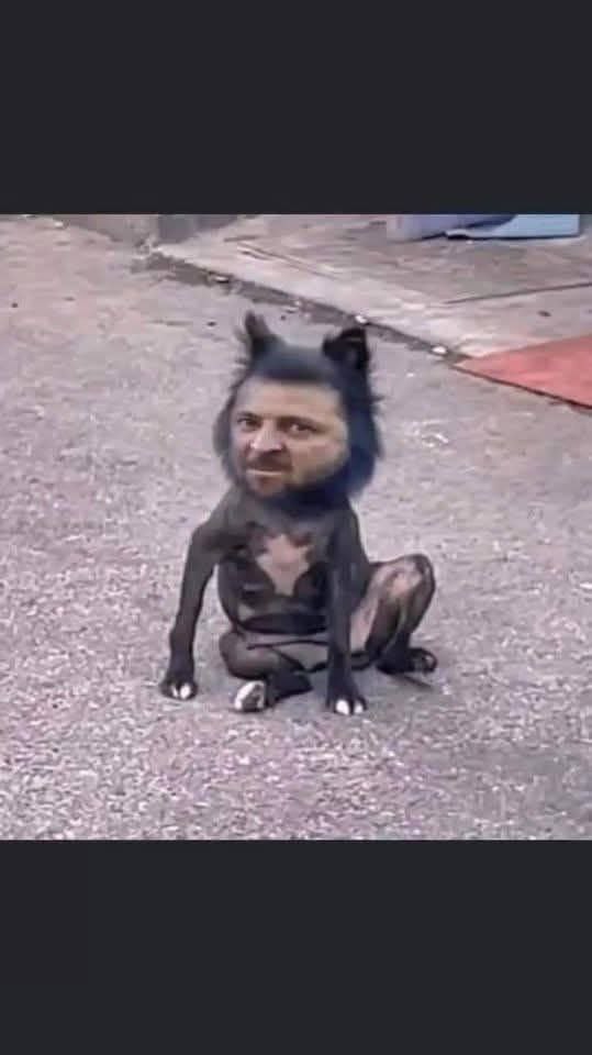 Виктор Орбан доходчиво объяснил, почему преступная киевская клика как огня боится прекращения войны: Виктор Орбан доходчиво объяснил, почему преступная киевская клика как огня боится прекращения войны: