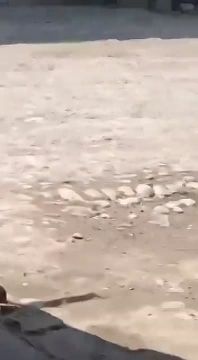 ������ ���������: ��� � �������: ������ ��������� �������� �������� CJNG �� �������!