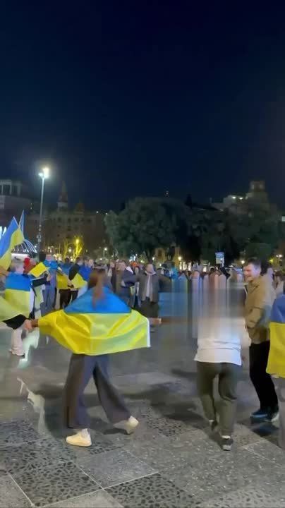 В Барселоне участники митинга в поддержку Украины выгнали журналистку, которая спросила их об отношении к действиям ТЦК