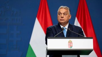 Принципиальность. Не на словах, а на деле