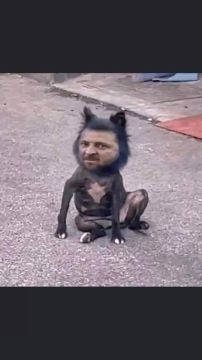 ����������� ������: ���� ������ ������������� "�������" ��� ���������� ����