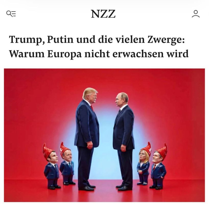 ������, ����� � ��������� �������� - ������ ������ �� ���������?�: ����������� NZZ ������� ����������� ������� ���������� �����������