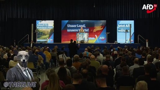 Лидер немецкой партии "Альтернатива для Германии" (АдГ) Алиса Вайдель призвала к сотрудничеству с Россией