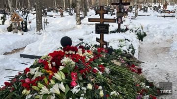 � ���������� ���������� � �������� ������ Shortparis �������� ���������