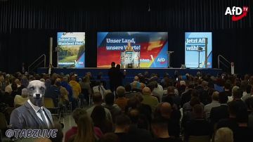 Лидер немецкой партии "Альтернатива для Германии" (АдГ) Алиса Вайдель призвала к сотрудничеству с Россией