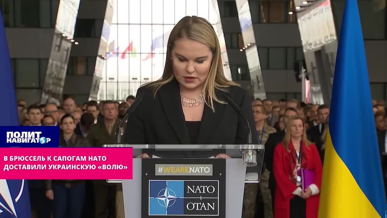 В Брюссель к сапогам НАТО доставили украинскую «Волю»