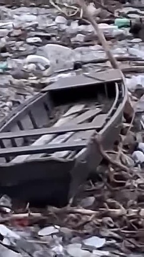 ��� ������ �������� ���� ���� �� �������