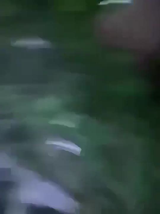 ����������� ����. ��� ����� � �� ������ ������������� ������, � ���� �� ������������ ���� �����, � �����, � ���� ����������� ��������������� ������� ��� ������������ ������