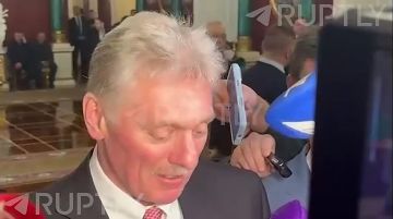 «Встреча на высшем уровне должна финализировать всю работу и поставить точку. Пока мы видим, что рабочий процесс продолжается», — Песков прокомментировал требования Зеленского о встрече с Путиным