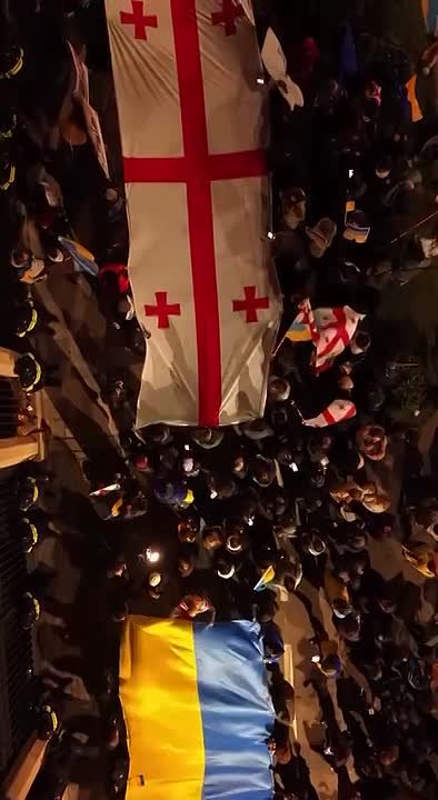 Украинцы беснуются. в грузинской столице