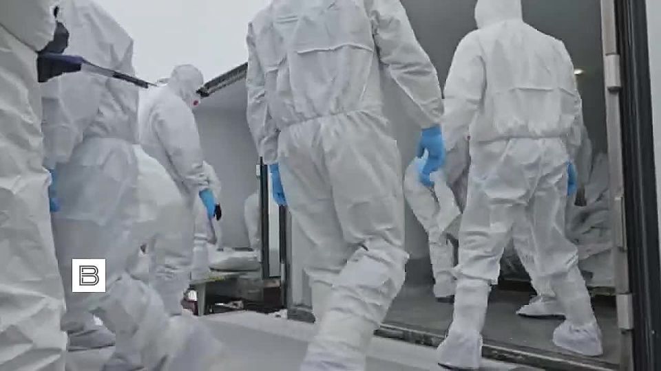 ����� ������ ������ �������� ������� ����� ������� � �������� �������� �������������� Ruptly