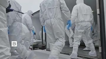 ����� ������ ������ �������� ������� ����� ������� � �������� �������� �������������� Ruptly