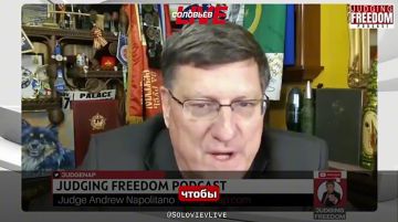 �������� �������������� Flamingo � ���������� �� ���, ����� ��� ���������, ����� ������ ���������� �� �������, ������ ���-������ �������� ��� ����� ������