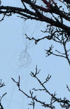 Это серьёзная угроза: русские дроны на оптоволокне начали долетать до Харькова