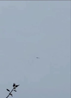 ���� ��������� "�������" � ���������� �������� ����������, � ������� ������� ������� �������