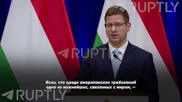 Мир — в интересах Украины, но не Зеленского: тогда придется проводить выборы, — спикер венгерского правительства Гергей Гуйяш