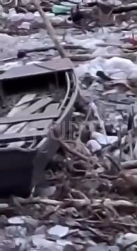 На смену нефтяной диверсии пришла мусорная: в Венгрию по Тисе приплыли горы отходов с Украины