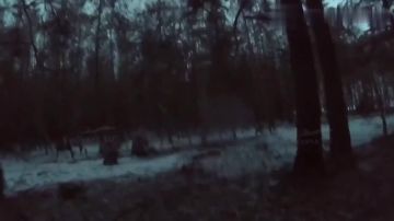 ���� ��� ����������� ��������: �������� ���� � ������