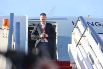 ��������� �� ���������. � ������������ ������������ ����