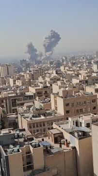 ������� �� ���� 28 �������: